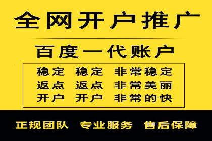 某电商平台的SEM推广策略及效果分析